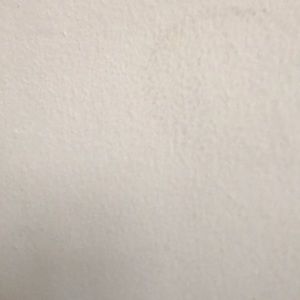 Meet your Posher, Tracey